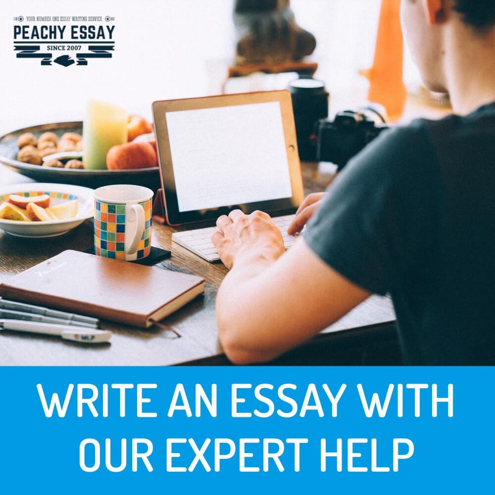 social science essay writing