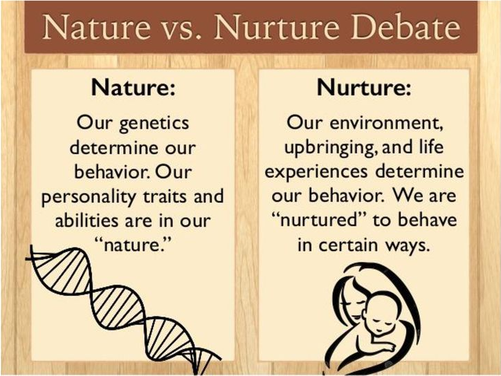 essay the nature vs nurture debate quizlet