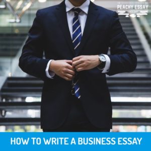 essay writing about businessman