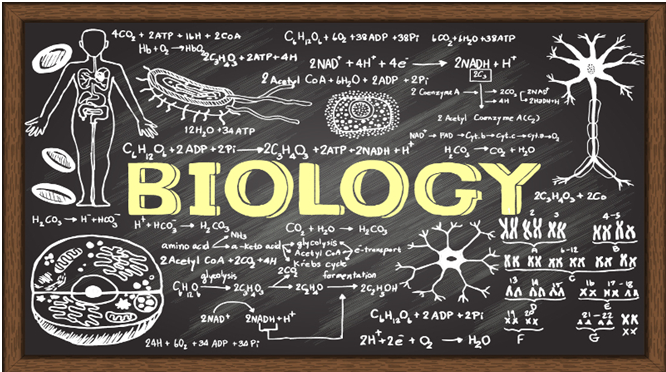 Biology Writing Help