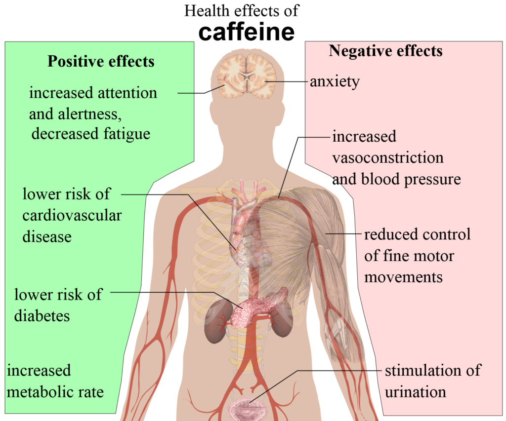 Health Effect of Caffeine
