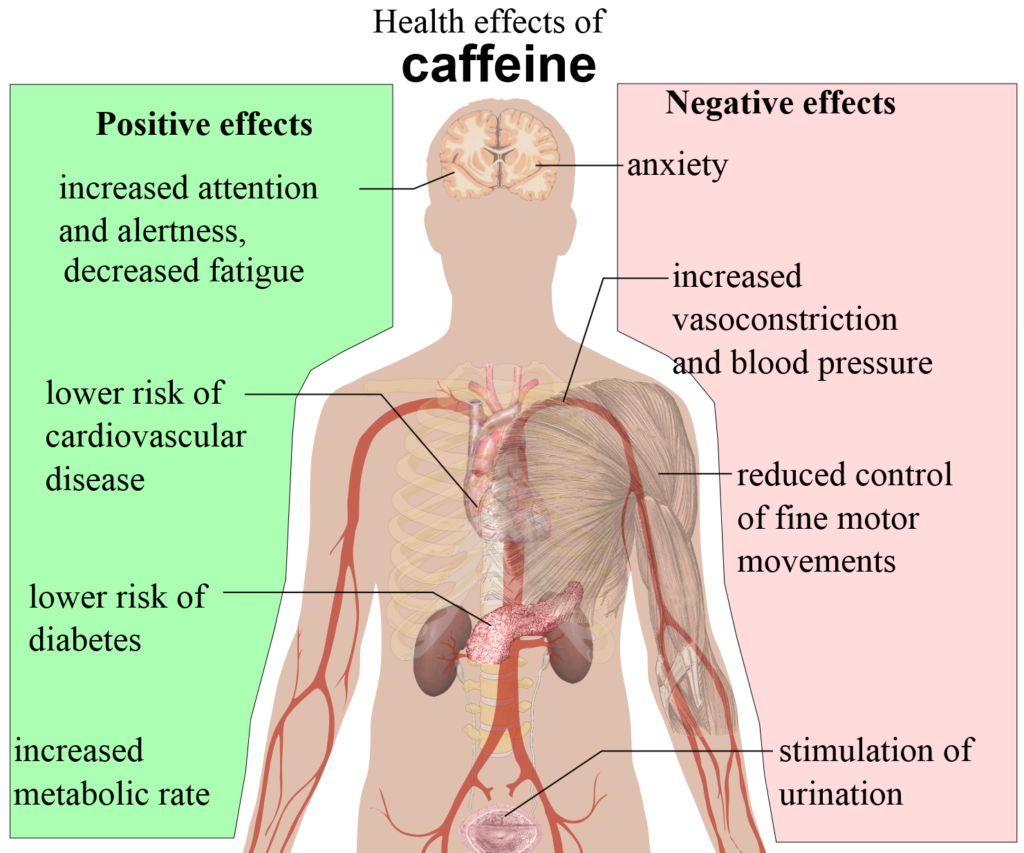 health-effect-of-caffeine-reality-or-myth-apanursingpapers