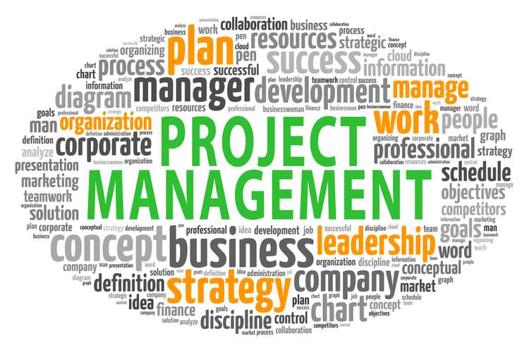 project management essay structure