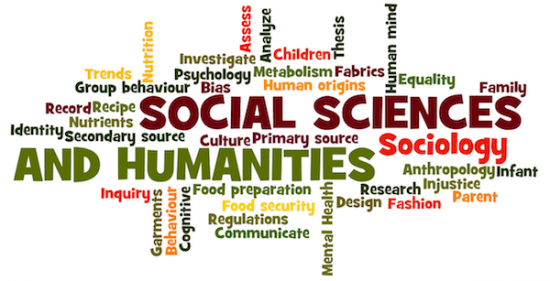 social science essay brainly