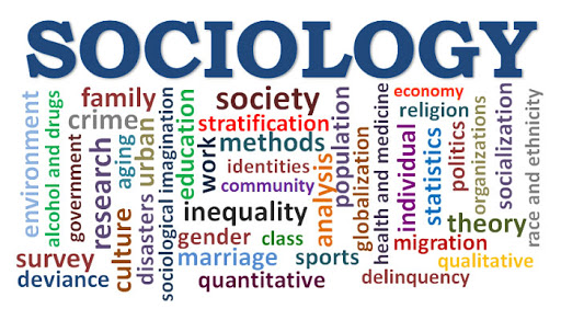 Sociology paper service