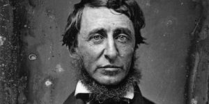 Close reading essay on Henry David Thoreau's 
