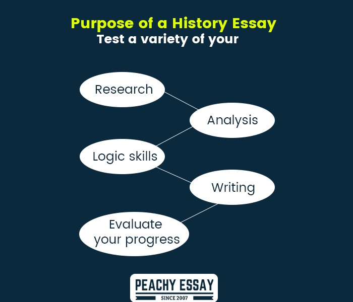 Purpose of History Essay