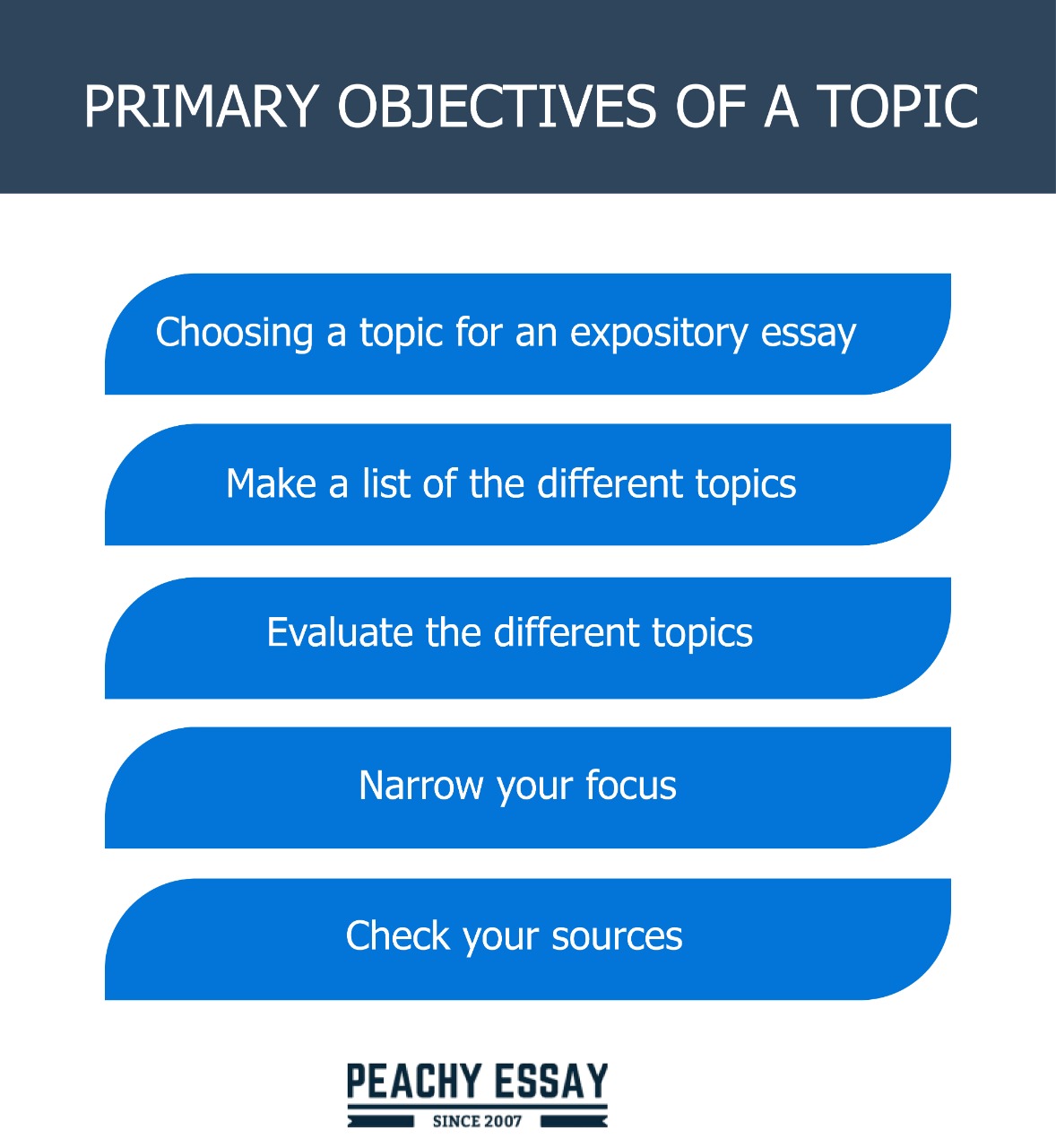 expository essay objectives