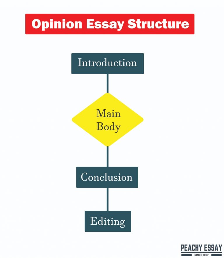 things to consider when writing an opinion essay