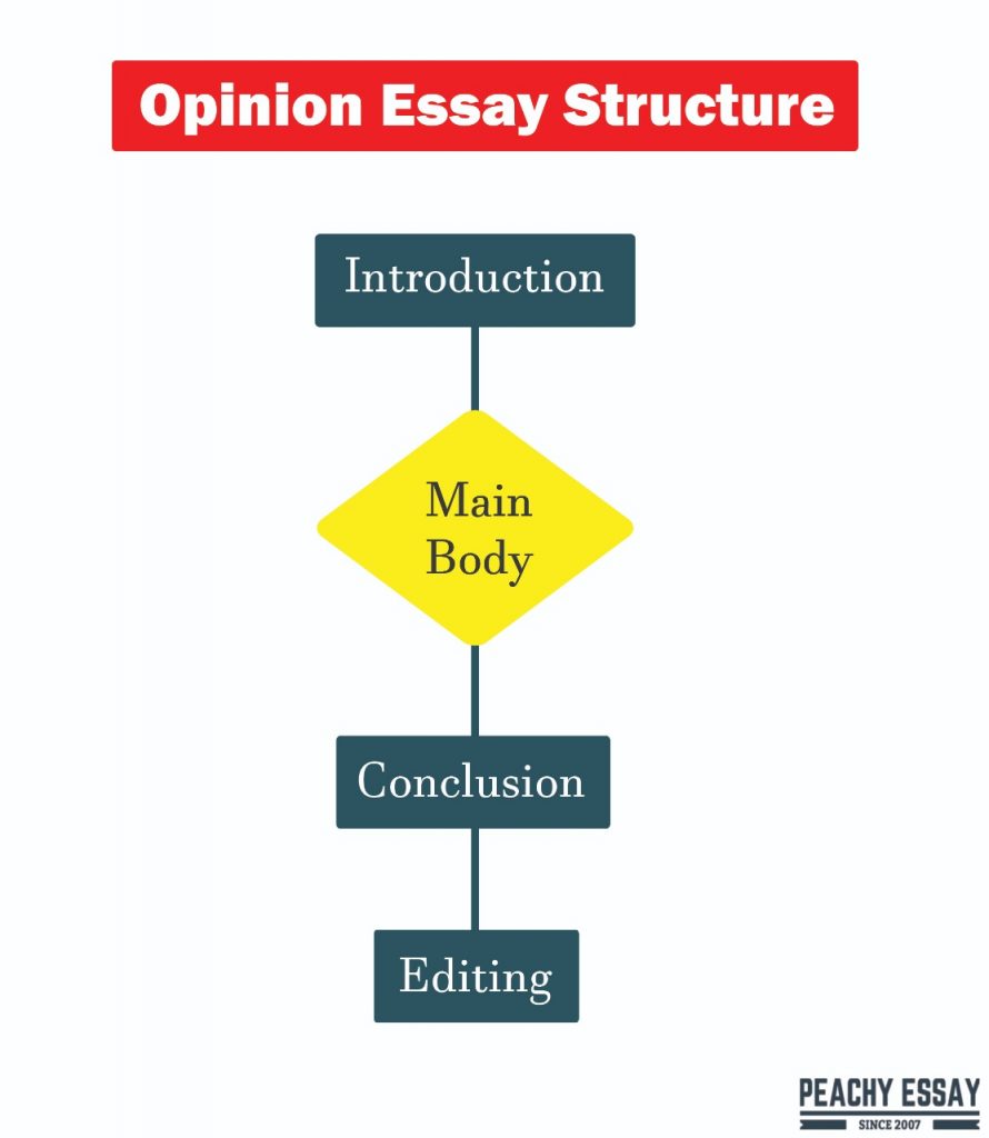 Opinion Essay Structure
