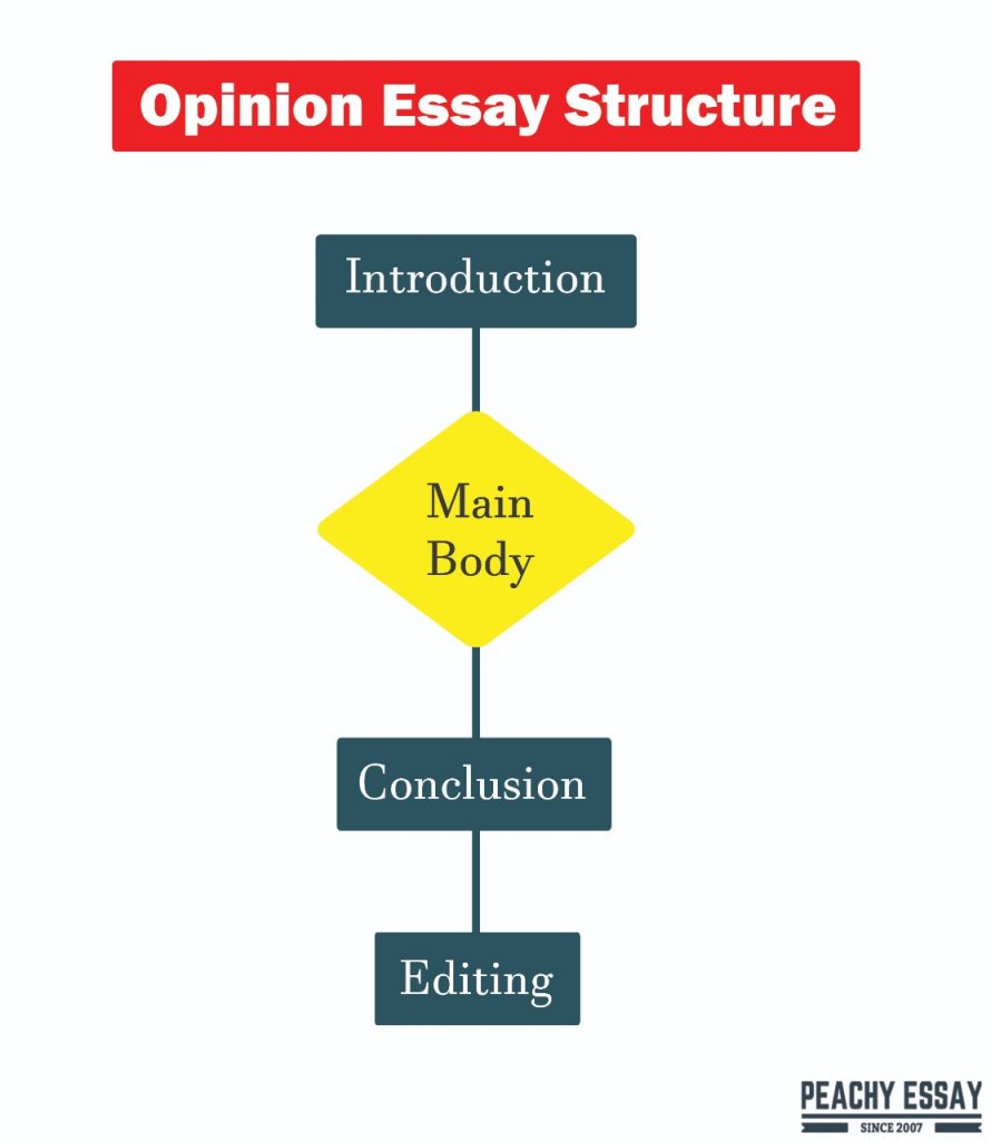 structure of opinion essay