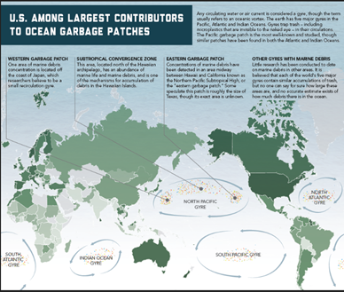 Potential Contamination Due to Microplastics