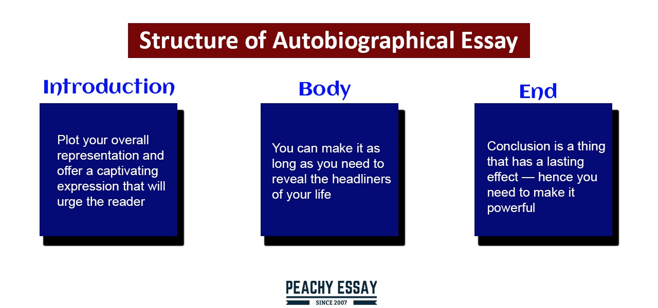 structural features of an autobiography