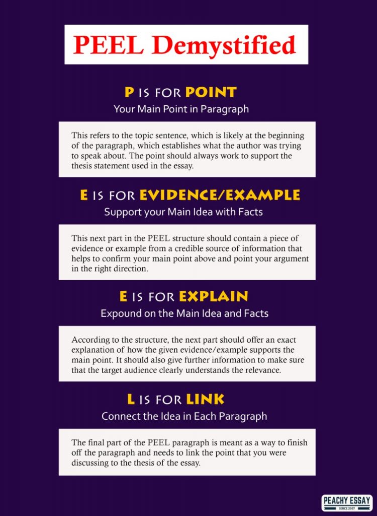 peel essay structure example