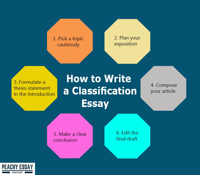 essay using classification