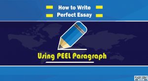 how to write essay using peel paragraph