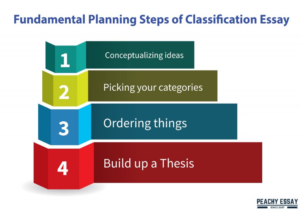 How to Write a Division Classification Essay - Useful Guide