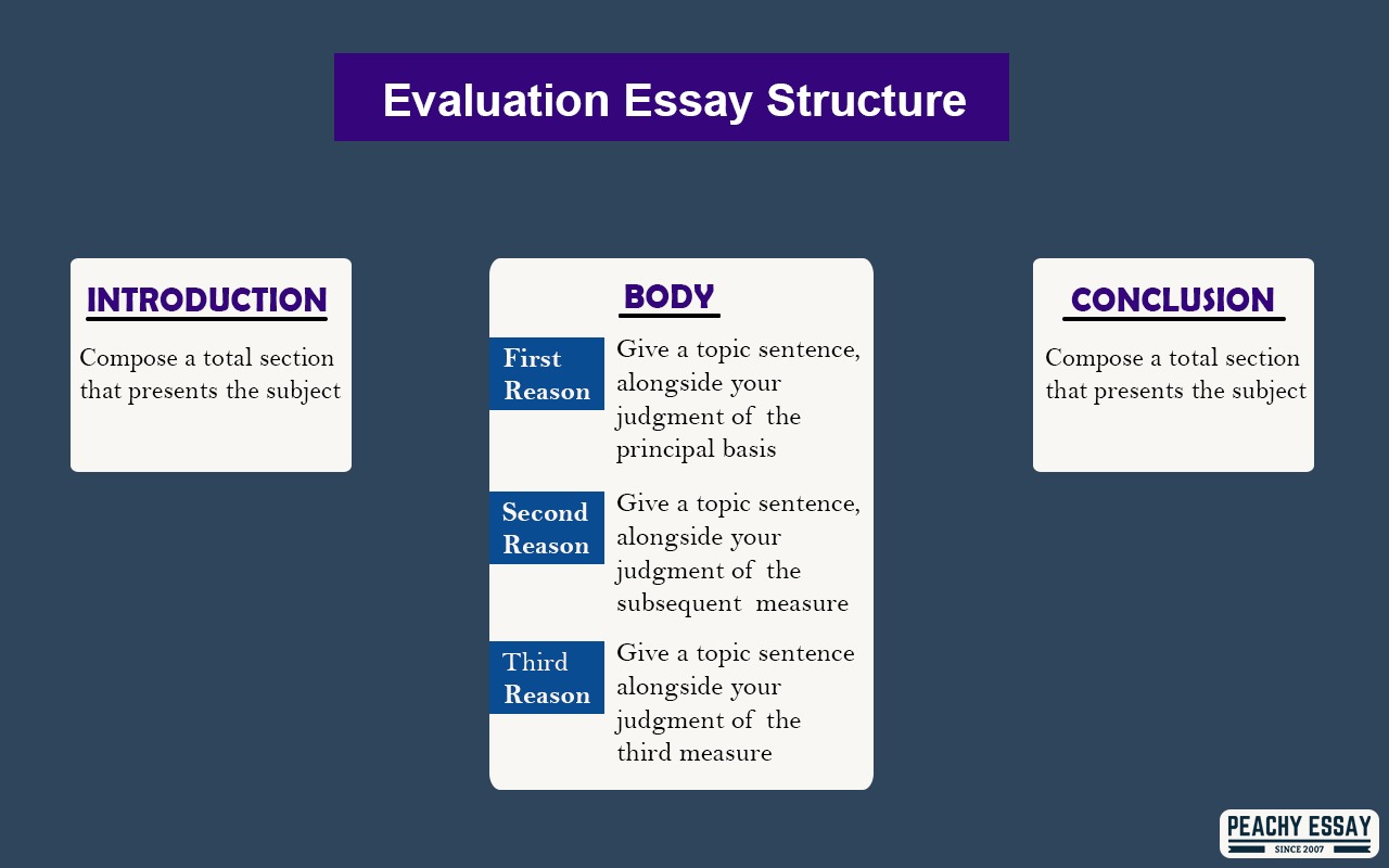 evaluation essay meaning