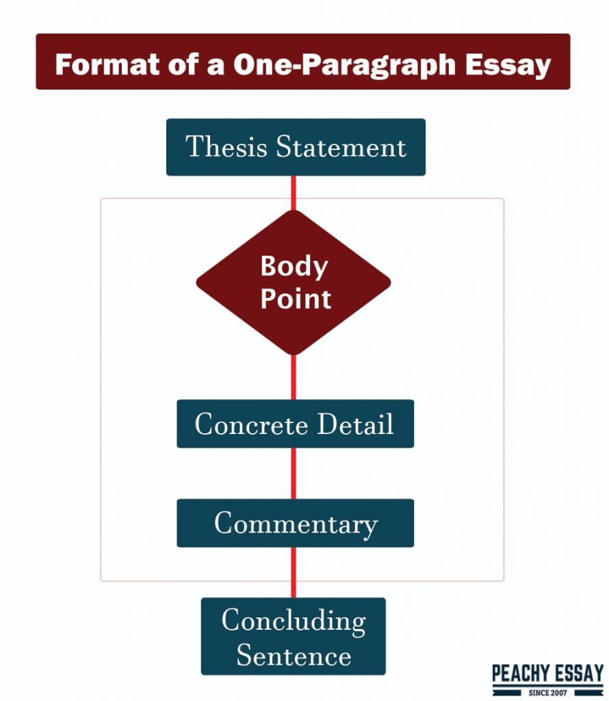 one paragraph essay example