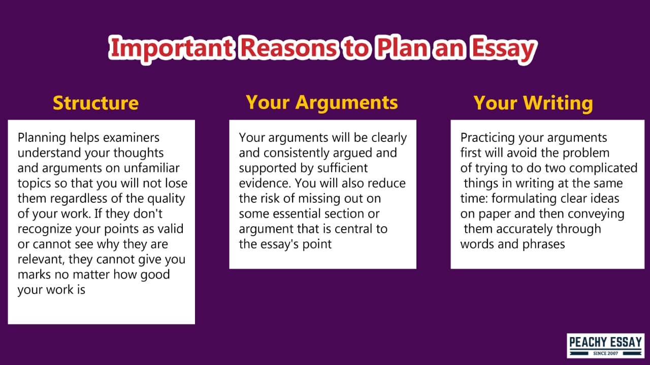 meaning of an essay plan
