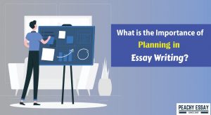What is the importance of planning in essay writing?