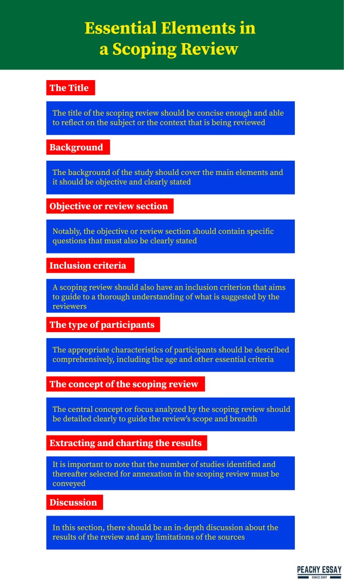 scoping literature review meaning