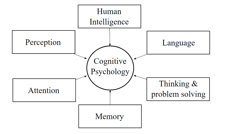 cognitive psychology definition essay