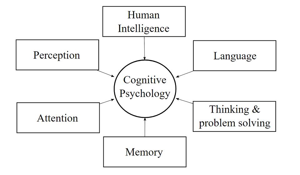 principal research areas of cognitive psychology