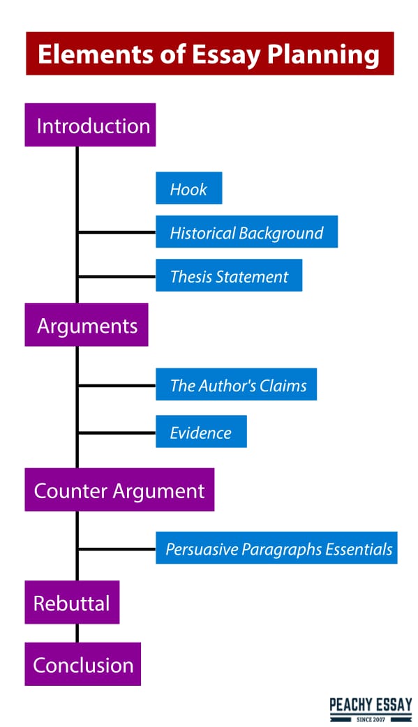 structure of essay plan