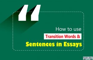 How to Use Transition Words in Essay