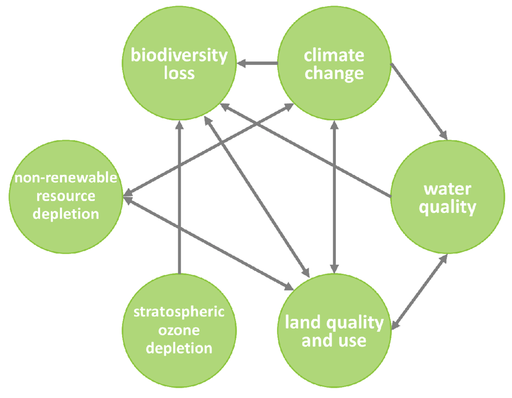 The Impact Of Environmental Change On Management Practices