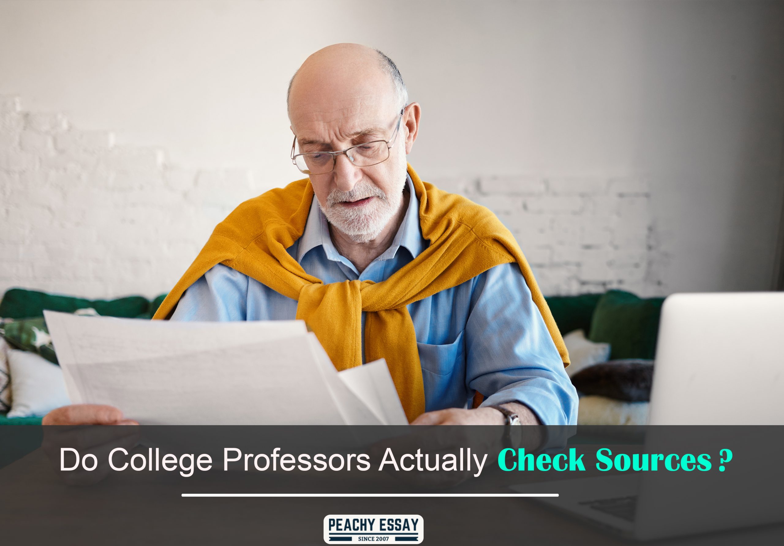 Do College Professors Actually Check Sources?