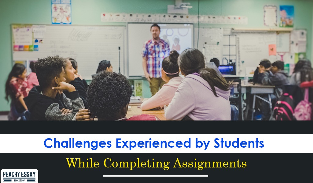 Challenges Experienced by Students