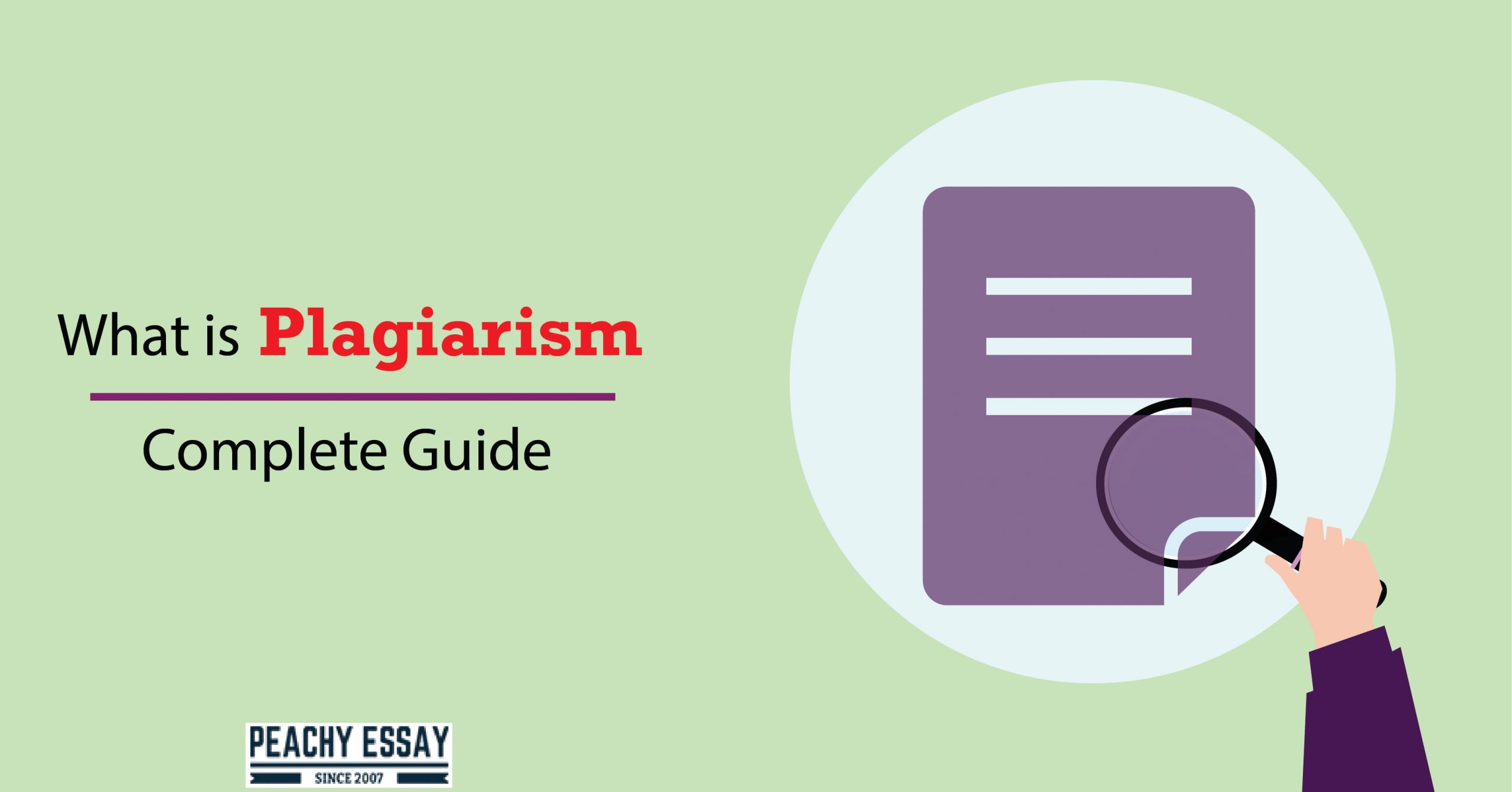 what is plagiarism in essay