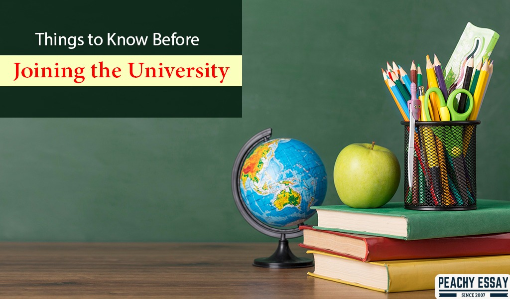 Things to Know Before Joining the University