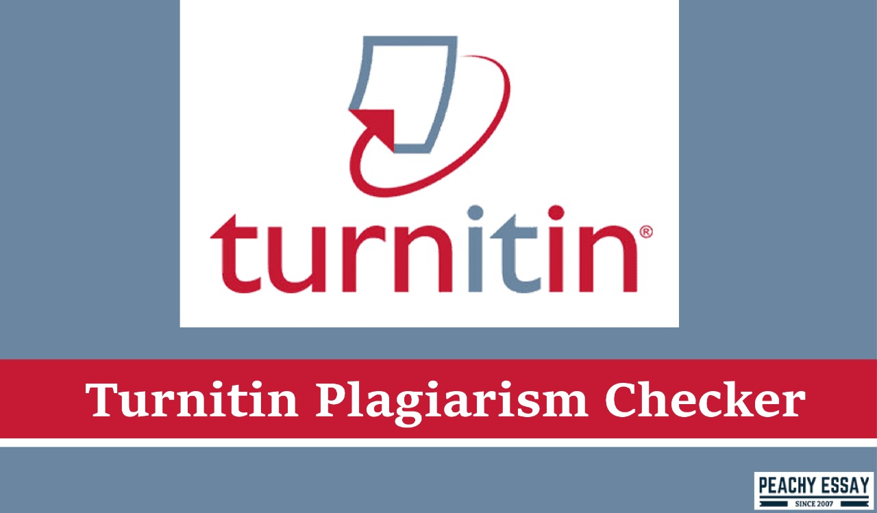 turnitin assignment plagiarism