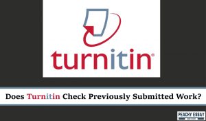 turnitin check previously submitted work