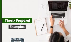 Thesis Proposal Examples