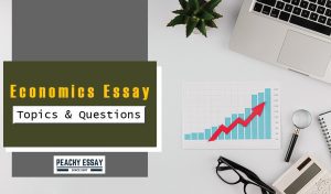 Economics Essay Topics
