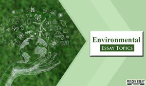 Environmental Essay Topics