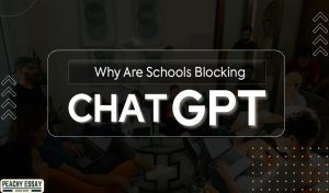 why schools are blocking chatgpt