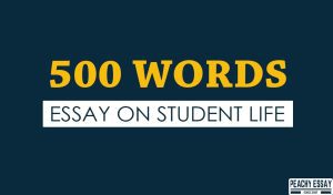 500 Words Essay On Student Life