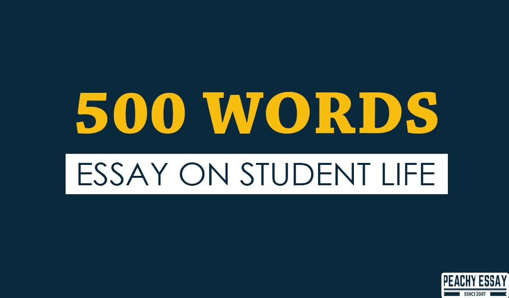 essay on student life 500 words