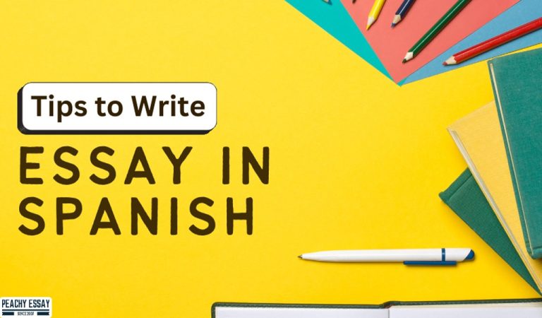 essay meaning spanish