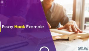 Essay Hook Examples